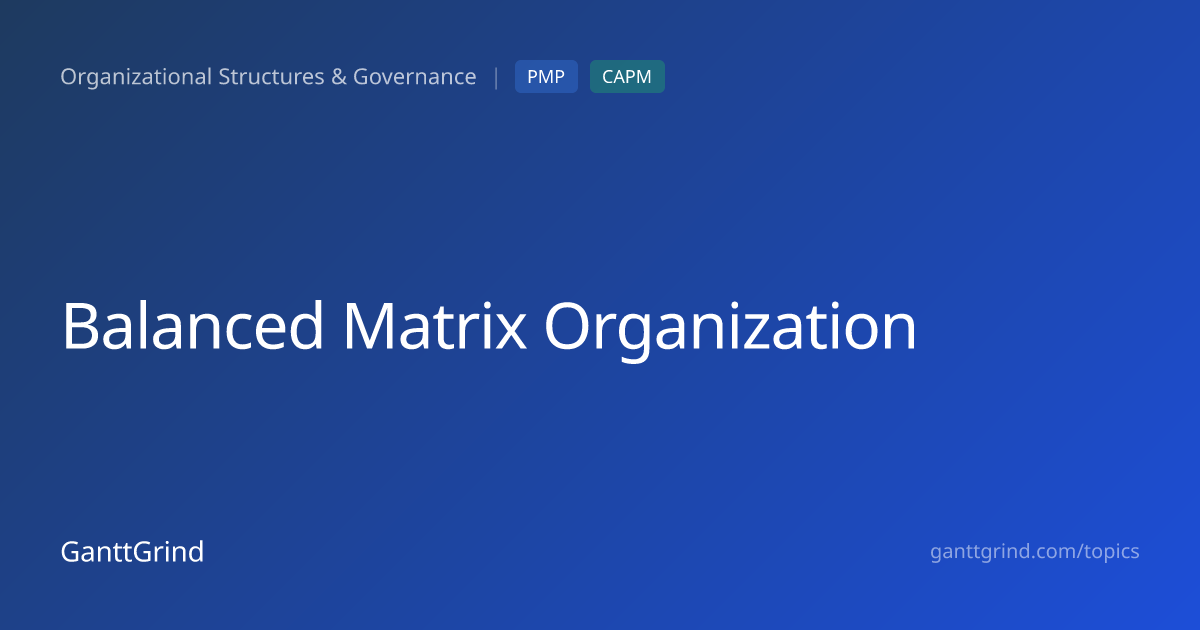 What Is a Balanced Matrix Organization? | PMP & CAPM Concept Explained ...