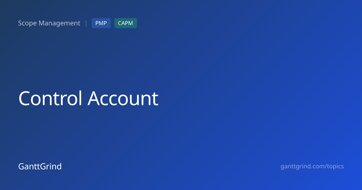 Control Account Process: Inputs, Tools & Outputs