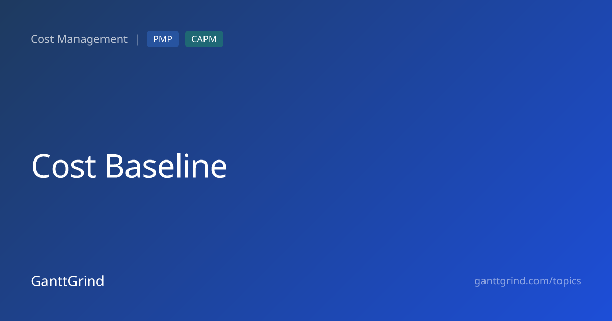 Cost Baseline — PMP Definition & Examples