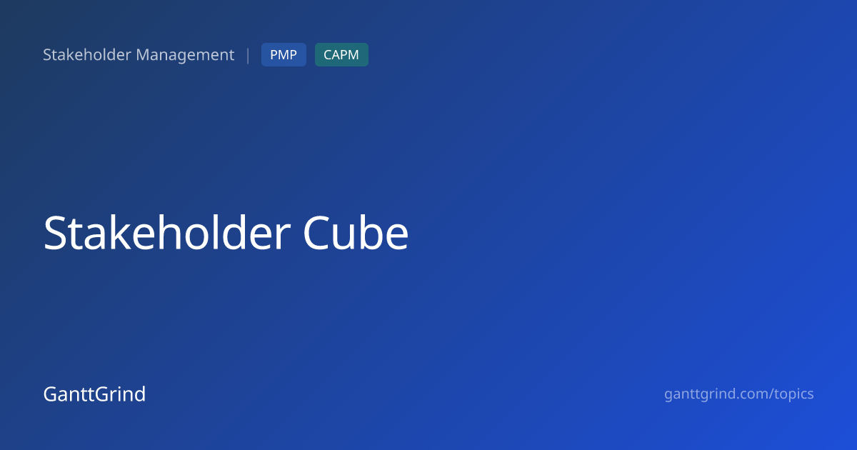 Stakeholder Cube — PMP Definition & Examples