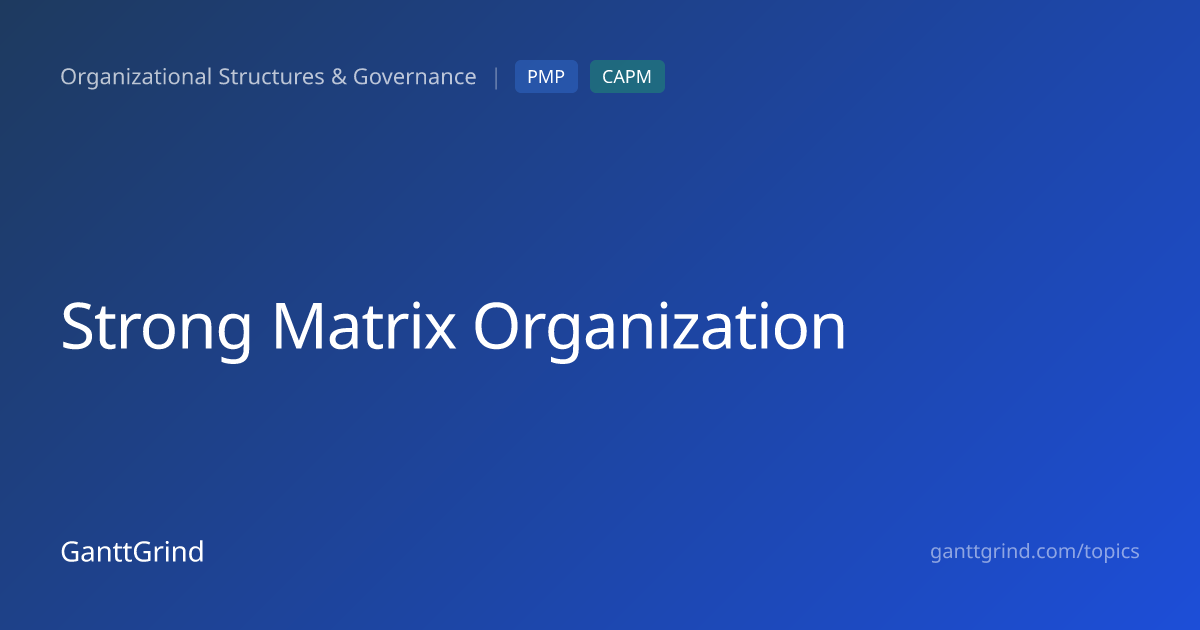 Strong Matrix Organization — PMP Definition & Examples
