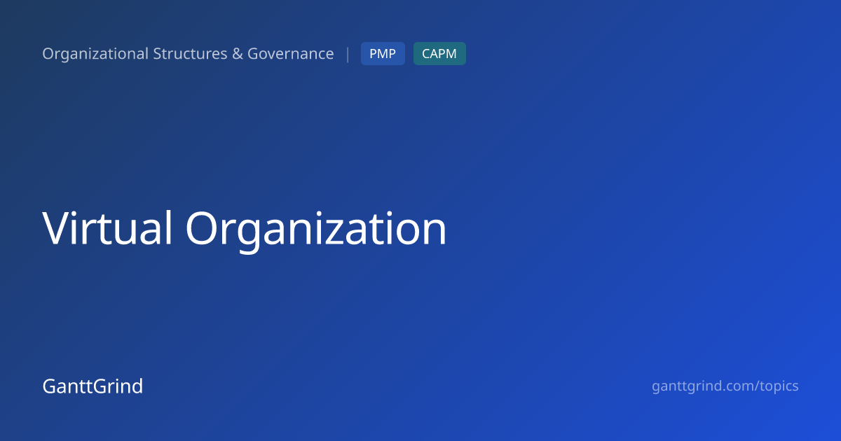 Virtual Organization — PMP Definition & Examples