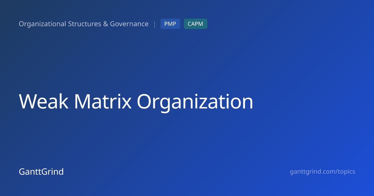 Weak Matrix Organization — PMP Definition & Examples